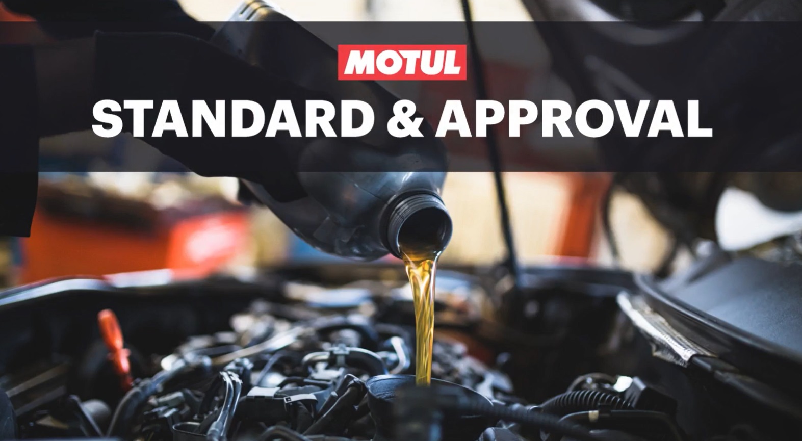 Course Image BASIC Module 2: Standard & Approval (EN)